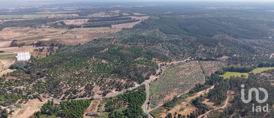 Terrain à Alpiarça de 462 520 m²