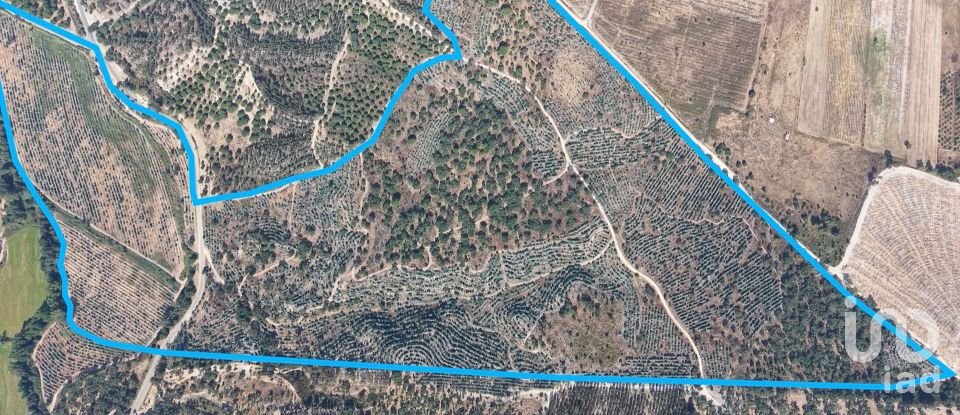 Terrain à Alpiarça de 462 520 m²