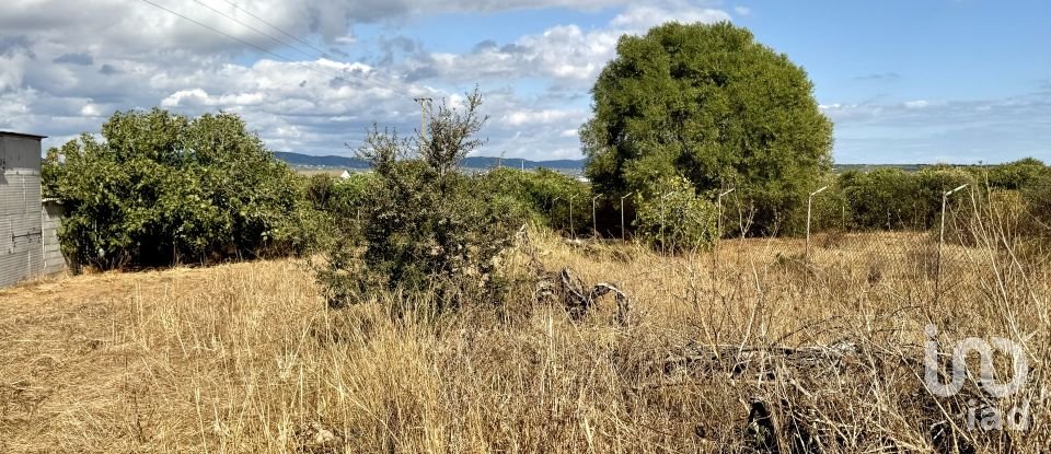 Moradia T3 em Montenegro de 88 m²