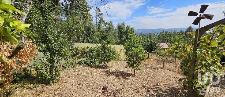 Gîte T3 à Maçãs de Dona Maria de 320 m²