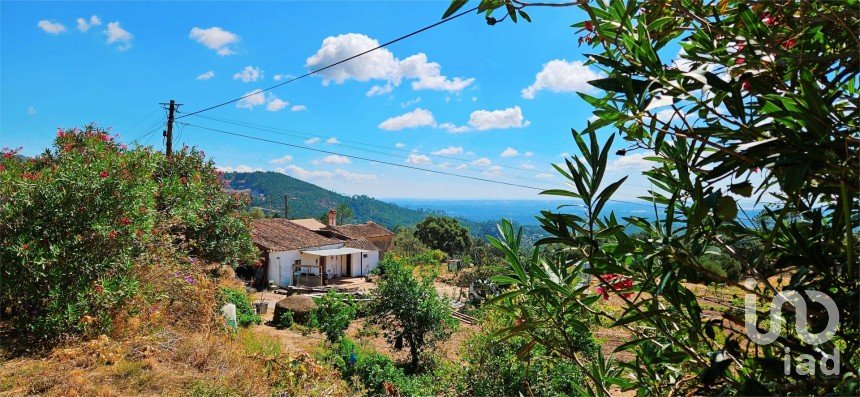 Maison T2 à Monchique de 18 680 m²