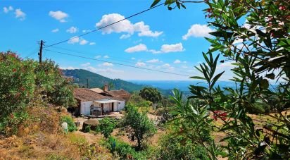 Maison T2 à Monchique de 18 680 m²