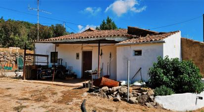 Maison T2 à Monchique de 18 680 m²