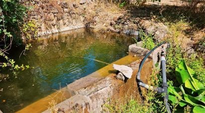 Maison T2 à Monchique de 18 680 m²