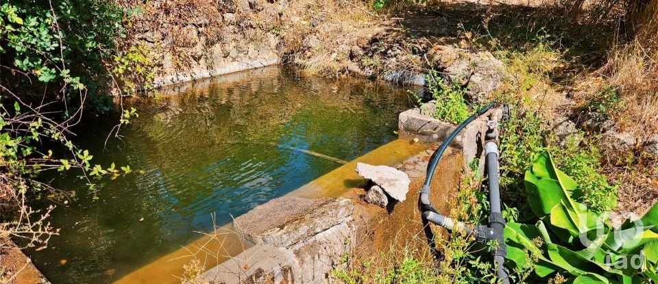 Maison T2 à Monchique de 18 680 m²