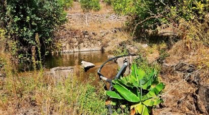 Maison T2 à Monchique de 18 680 m²