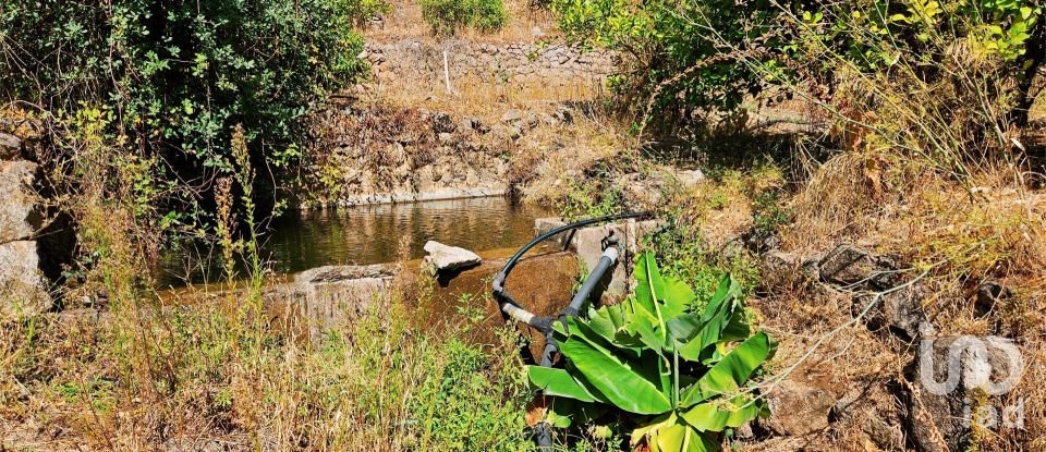 Maison T2 à Monchique de 18 680 m²