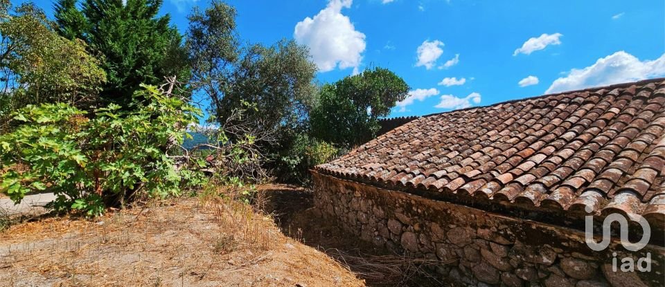 Maison T2 à Monchique de 18 680 m²