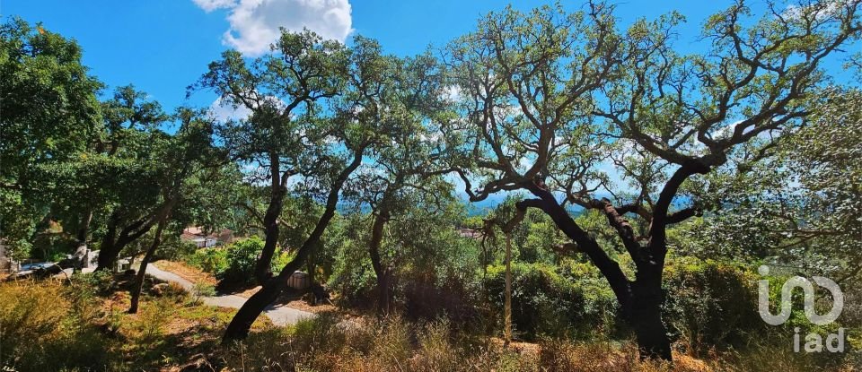 Maison T2 à Monchique de 18 680 m²