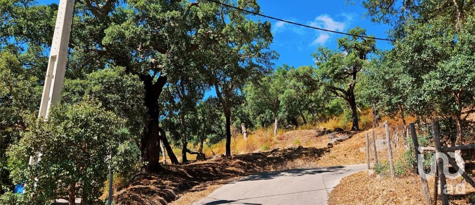 Maison T2 à Monchique de 18 680 m²