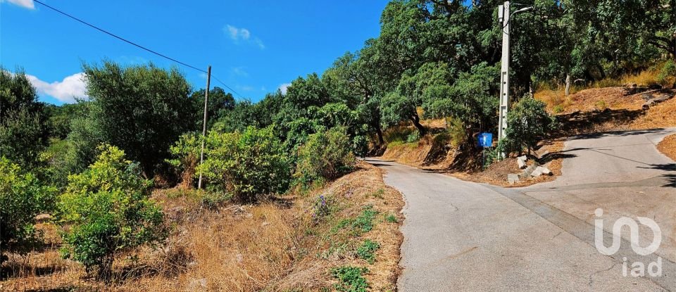 Maison T2 à Monchique de 18 680 m²