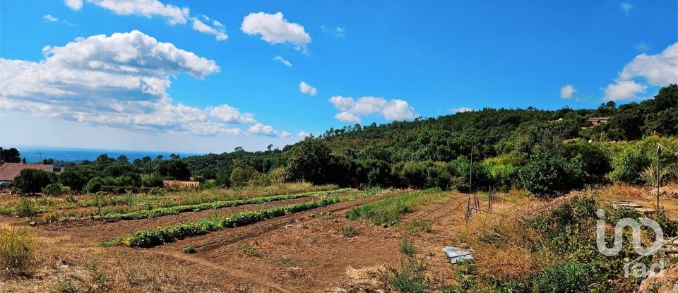 Maison T2 à Monchique de 18 680 m²