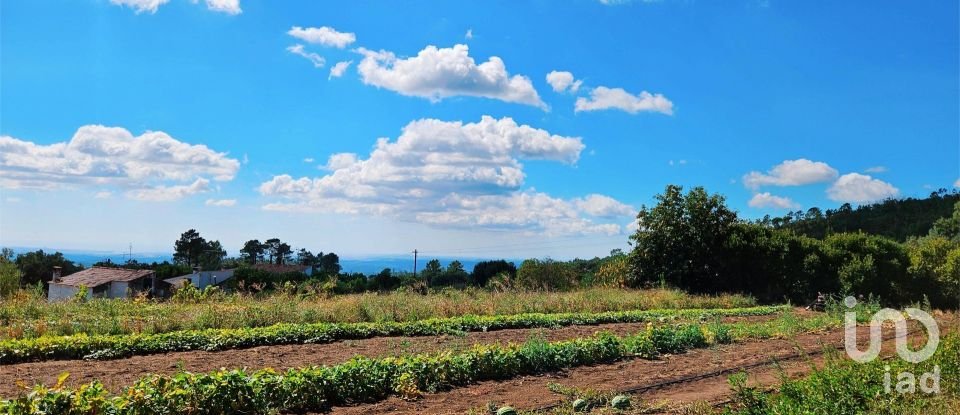 Maison T2 à Monchique de 18 680 m²
