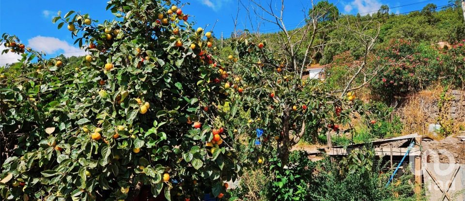 Maison T2 à Monchique de 18 680 m²