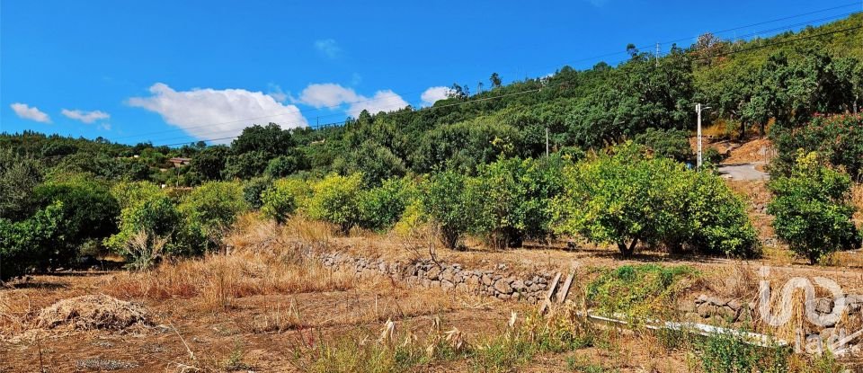 Maison T2 à Monchique de 18 680 m²