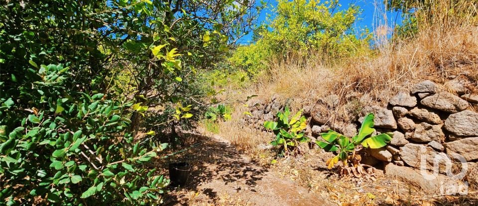 Maison T2 à Monchique de 18 680 m²