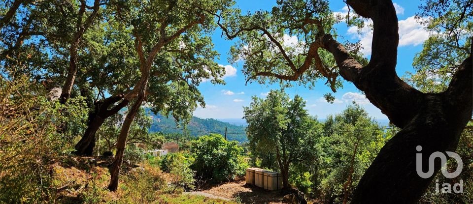 Maison T2 à Monchique de 18 680 m²