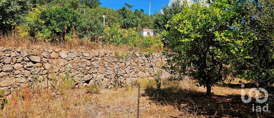 Maison T2 à Monchique de 18 680 m²