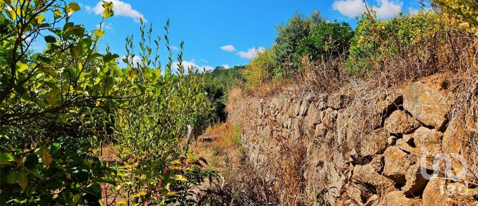 Maison T2 à Monchique de 18 680 m²