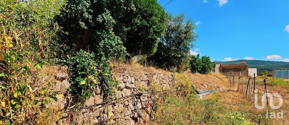 Maison T2 à Monchique de 18 680 m²