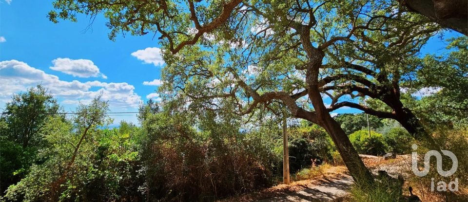 Maison T2 à Monchique de 18 680 m²