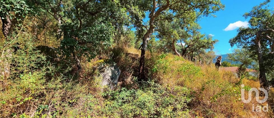 Maison T2 à Monchique de 18 680 m²