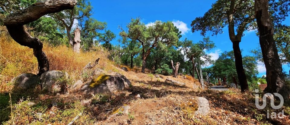 Maison T2 à Monchique de 18 680 m²