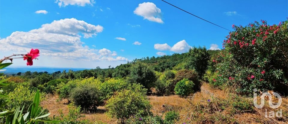 Maison T2 à Monchique de 18 680 m²