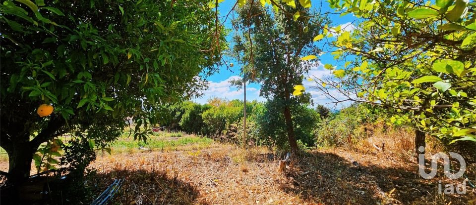 Maison T2 à Monchique de 18 680 m²