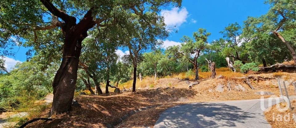 Maison T2 à Monchique de 18 680 m²