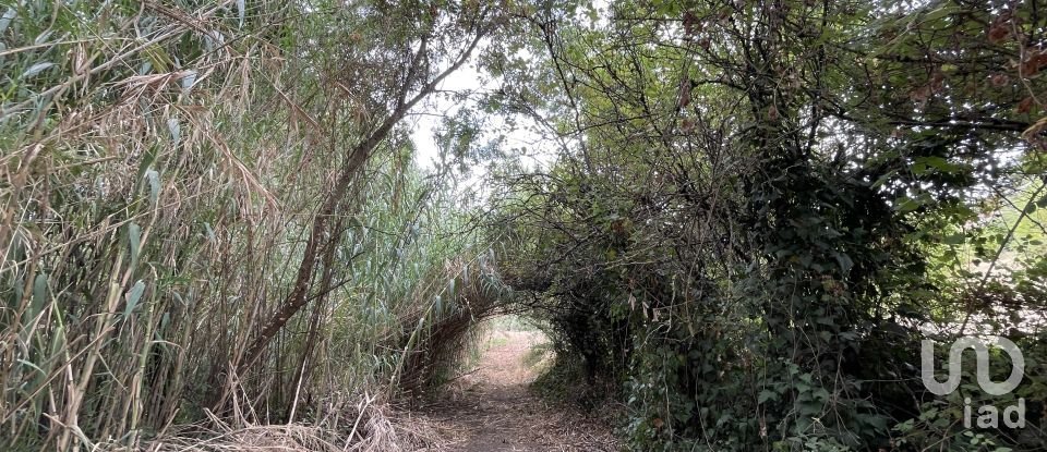 Quinta T5 em Alverca do Ribatejo e Sobralinho de 304 m²