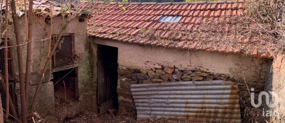 Maison T3 à Campelo de 134 m²