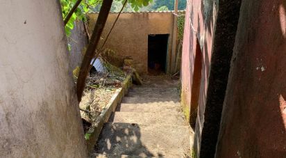 Maison T3 à Campelo de 134 m²