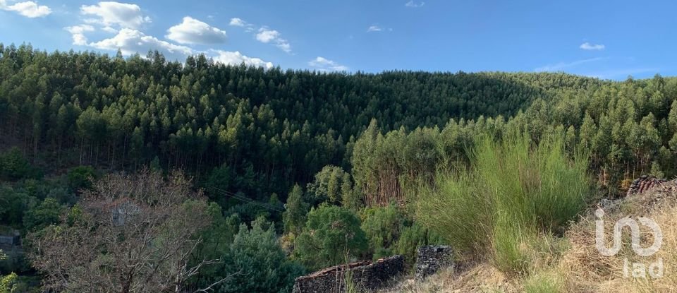 Maison T3 à Campelo de 134 m²