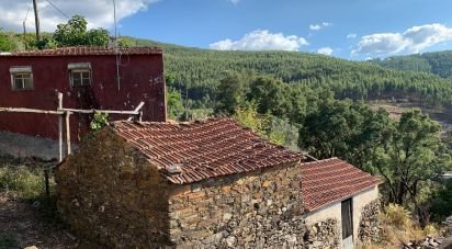 Maison T3 à Campelo de 134 m²