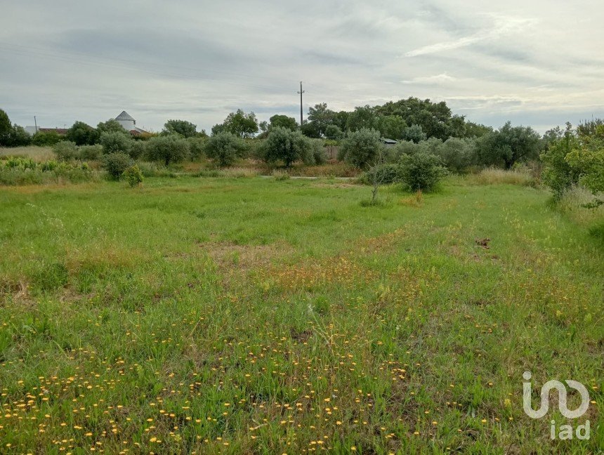 Land in Manique Do Intendente, Vila Nova De São Pedro E Maçussa of 3,840 m²