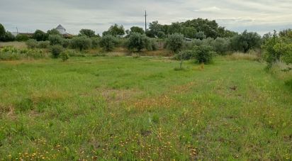 Land in Manique Do Intendente, Vila Nova De São Pedro E Maçussa of 3,840 m²