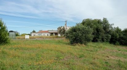 Land in Manique Do Intendente, Vila Nova De São Pedro E Maçussa of 3,840 m²