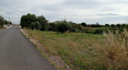 Land in Manique Do Intendente, Vila Nova De São Pedro E Maçussa of 3,840 m²