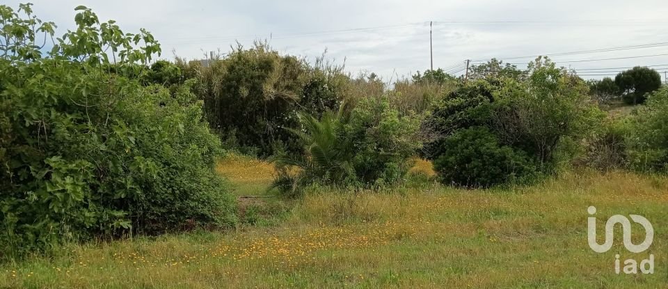 Land in Manique Do Intendente, Vila Nova De São Pedro E Maçussa of 3,840 m²