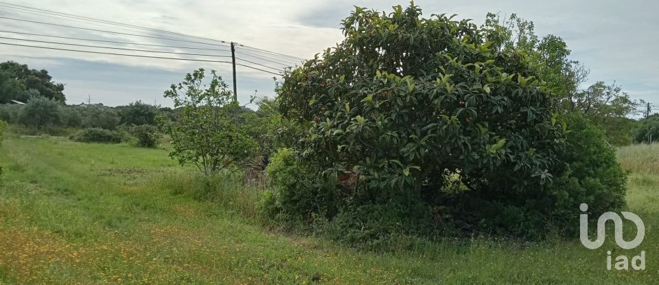 Land in Manique Do Intendente, Vila Nova De São Pedro E Maçussa of 3,840 m²