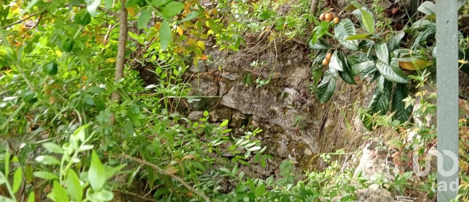 Land in Manique Do Intendente, Vila Nova De São Pedro E Maçussa of 3,840 m²