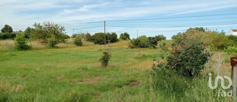 Land in Manique Do Intendente, Vila Nova De São Pedro E Maçussa of 3,840 m²