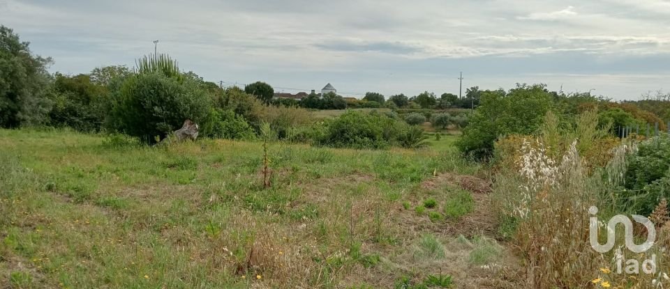 Land in Manique Do Intendente, Vila Nova De São Pedro E Maçussa of 3,840 m²