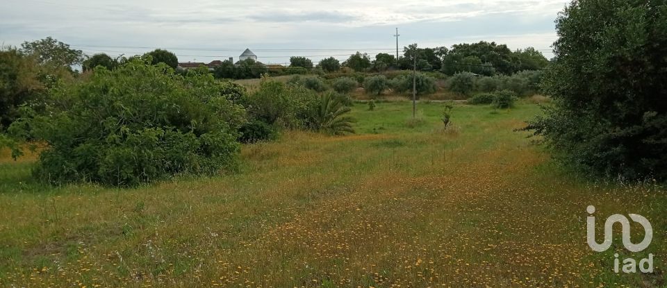 Land in Manique Do Intendente, Vila Nova De São Pedro E Maçussa of 3,840 m²