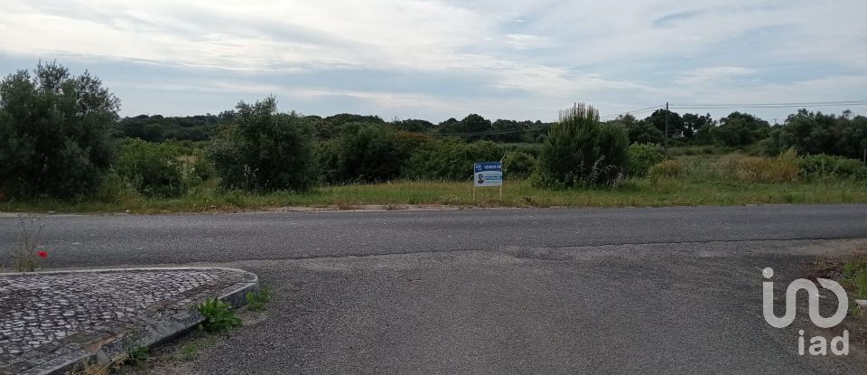 Land in Manique Do Intendente, Vila Nova De São Pedro E Maçussa of 3,840 m²