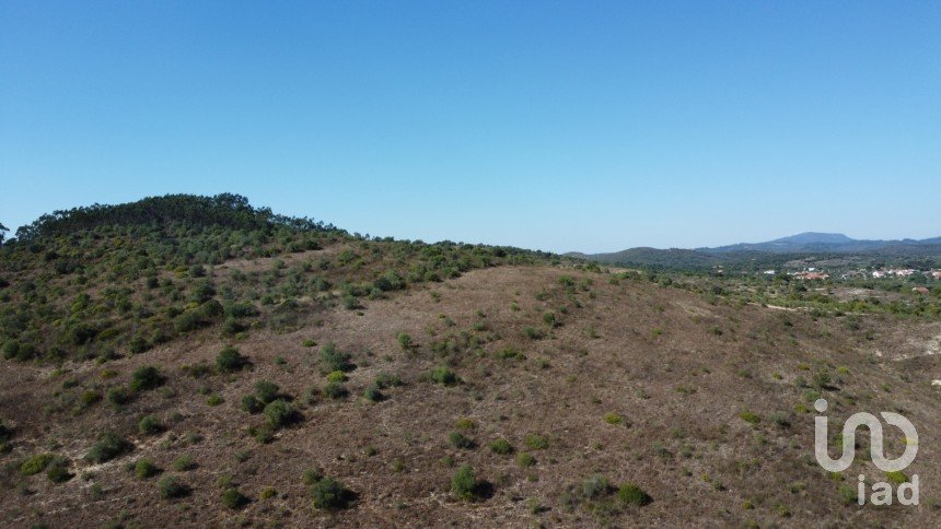 Land in Chãos of 33,440 m²