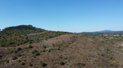 Land in Chãos of 33,440 m²