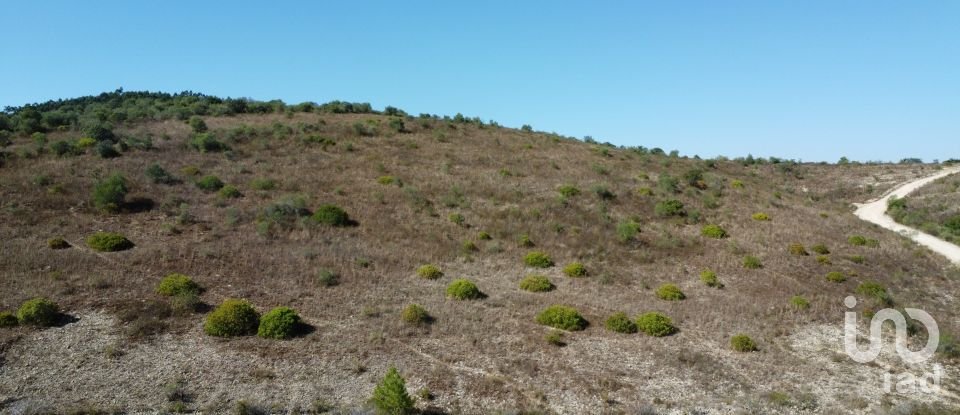 Land in Chãos of 33,440 m²