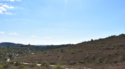 Land in Chãos of 33,440 m²